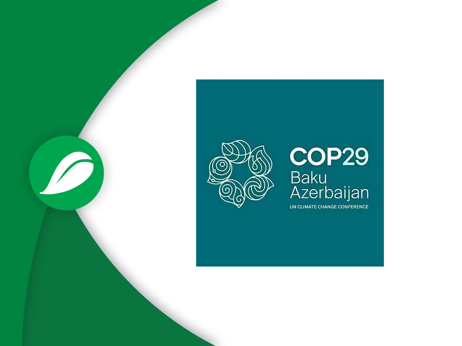 COP29